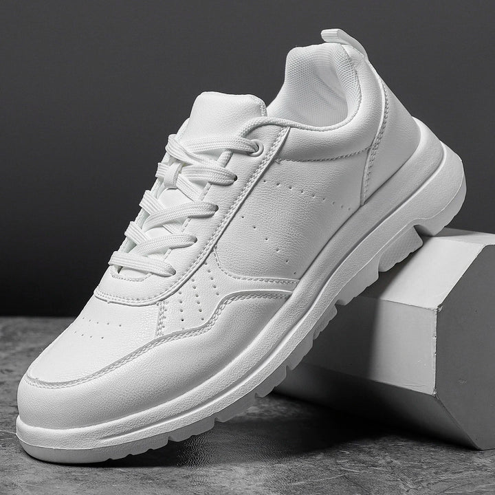Leo Classic shoes